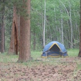 Review photo of Ashley National Forest Uinta River Group Campground by Jason L., May 6, 2018