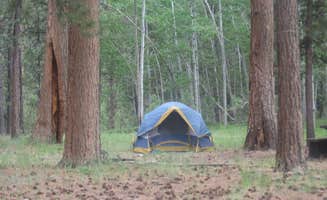 Jason L.'s photo at Ashley National Forest Uinta River Group Campground near Mountain Home, UT