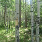 Review photo of Ashley National Forest Uinta River Group Campground by Jason L., May 6, 2018