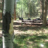 Review photo of Ashley National Forest Uinta River Group Campground by Jason L., May 6, 2018