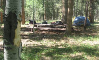 Jason L.'s photo at Ashley National Forest Uinta River Group Campground near Mountain Home, UT