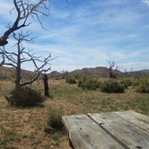 Review photo of Mid Hills Campground — Mojave National Preserve by Nicole R., May 6, 2018