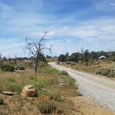 Review photo of Mid Hills Campground — Mojave National Preserve by Nicole R., May 6, 2018