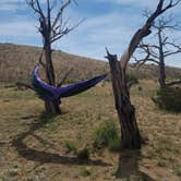 Review photo of Mid Hills Campground — Mojave National Preserve by Nicole R., May 6, 2018