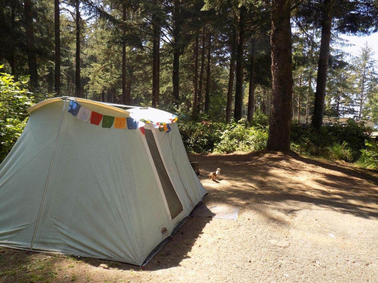 Jason L.'s photo at Jedidiah Smith Campground — Redwood National Park near Fort Dick, CA