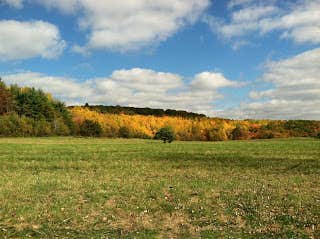 Camper submitted image from Group Camping and Cabins — Moraine State Park - 2