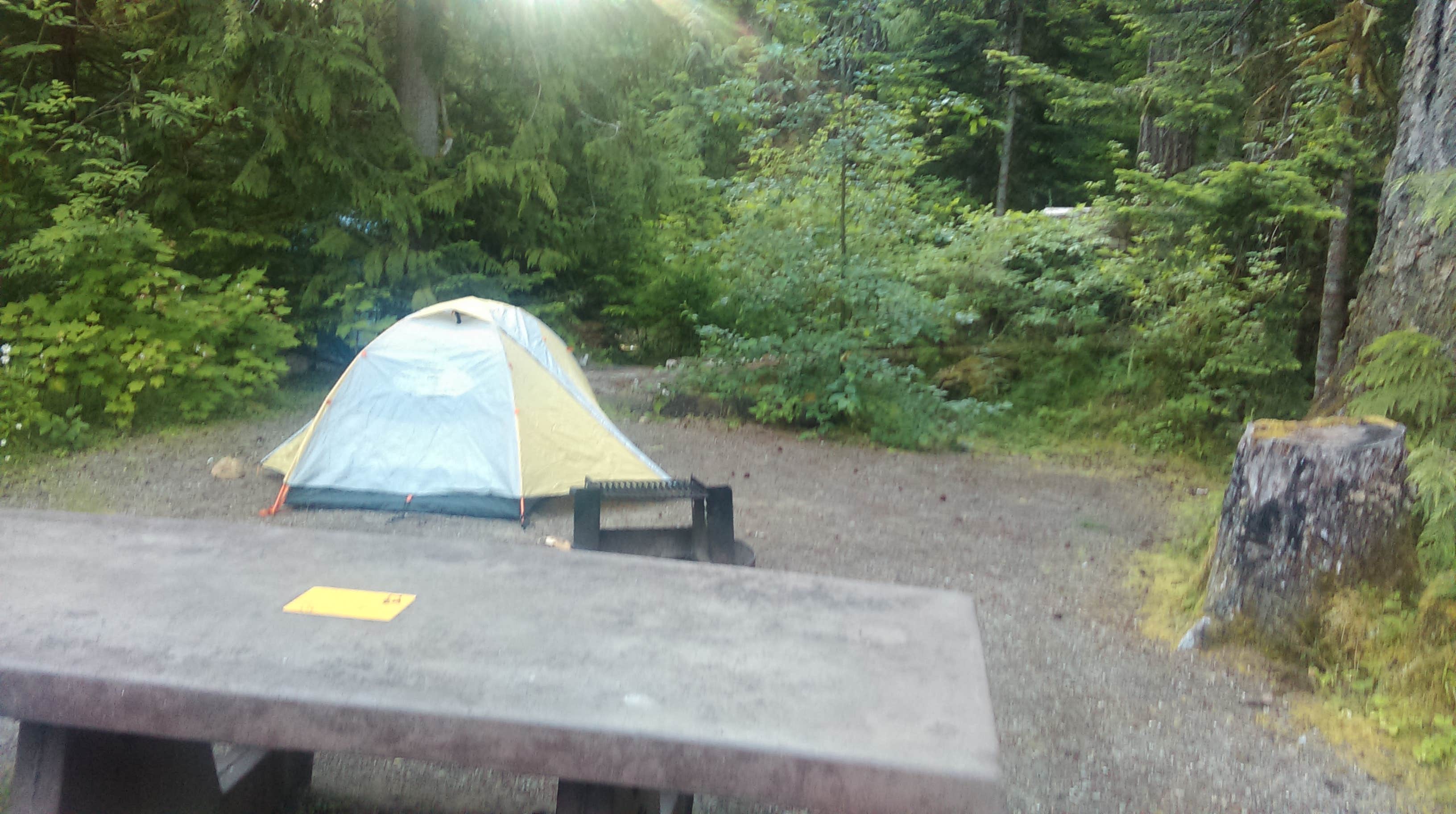 Danielle S.'s photo at Heart O' the Hills Campground — Olympic National Park near Carlsborg, WA