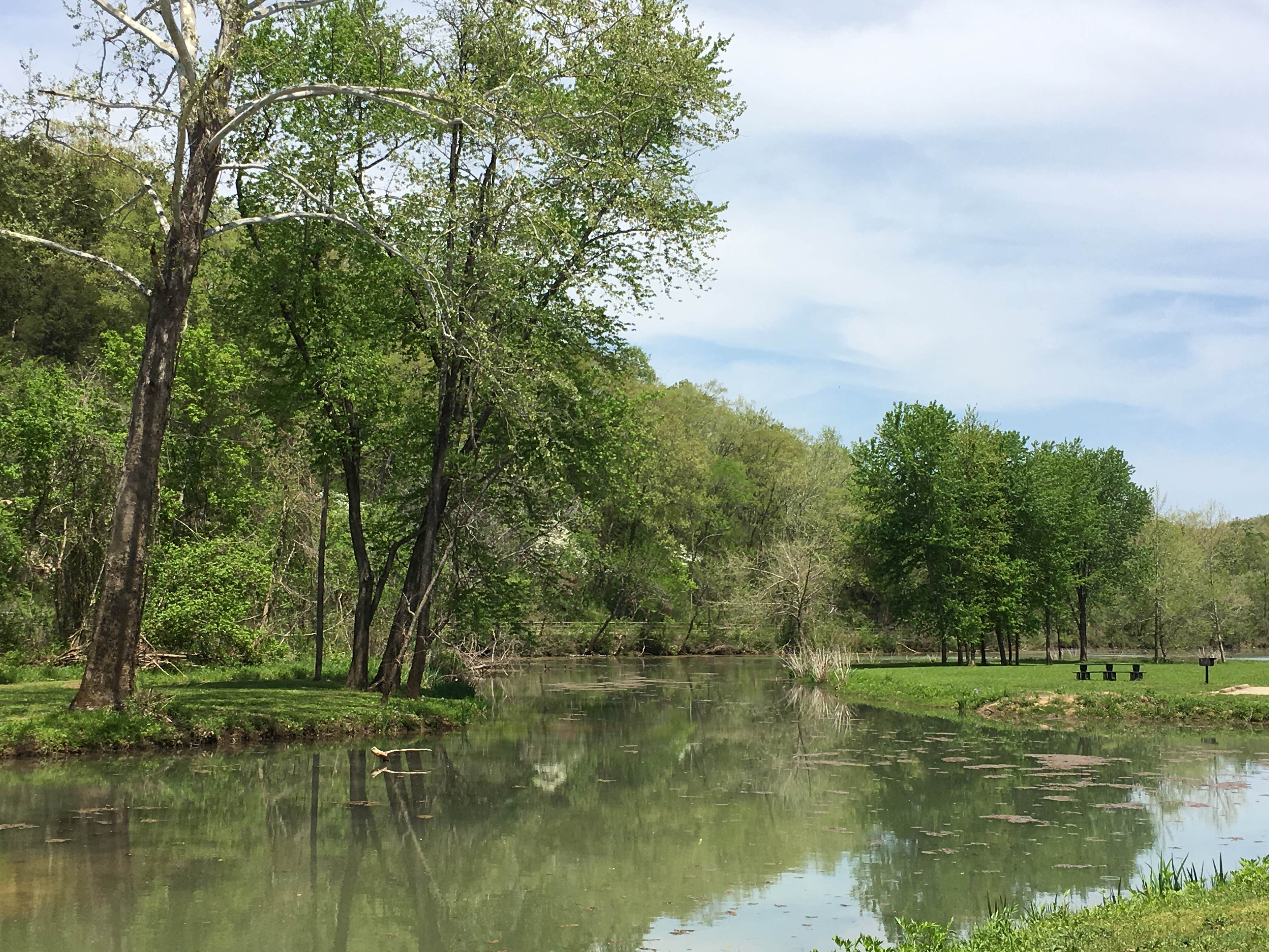 Camper submitted image from Onondaga Cave State Park Campground - 4