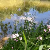 Review photo of Tall Pines Campground & Canoeing by Mary H., August 24, 2020