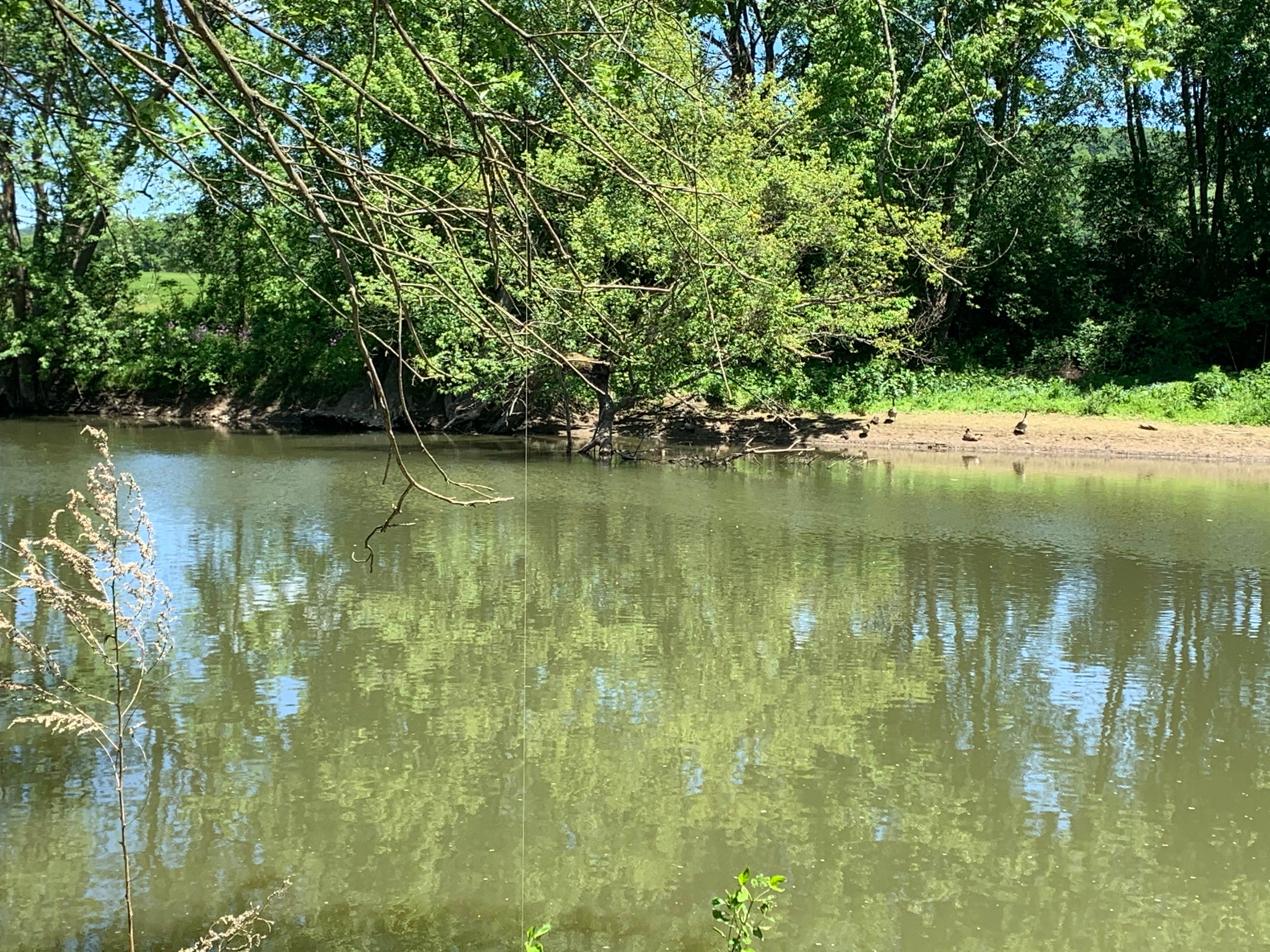 Camper-submitted photo at Tall Pines Campground & Canoeing near Trout Creek, NY