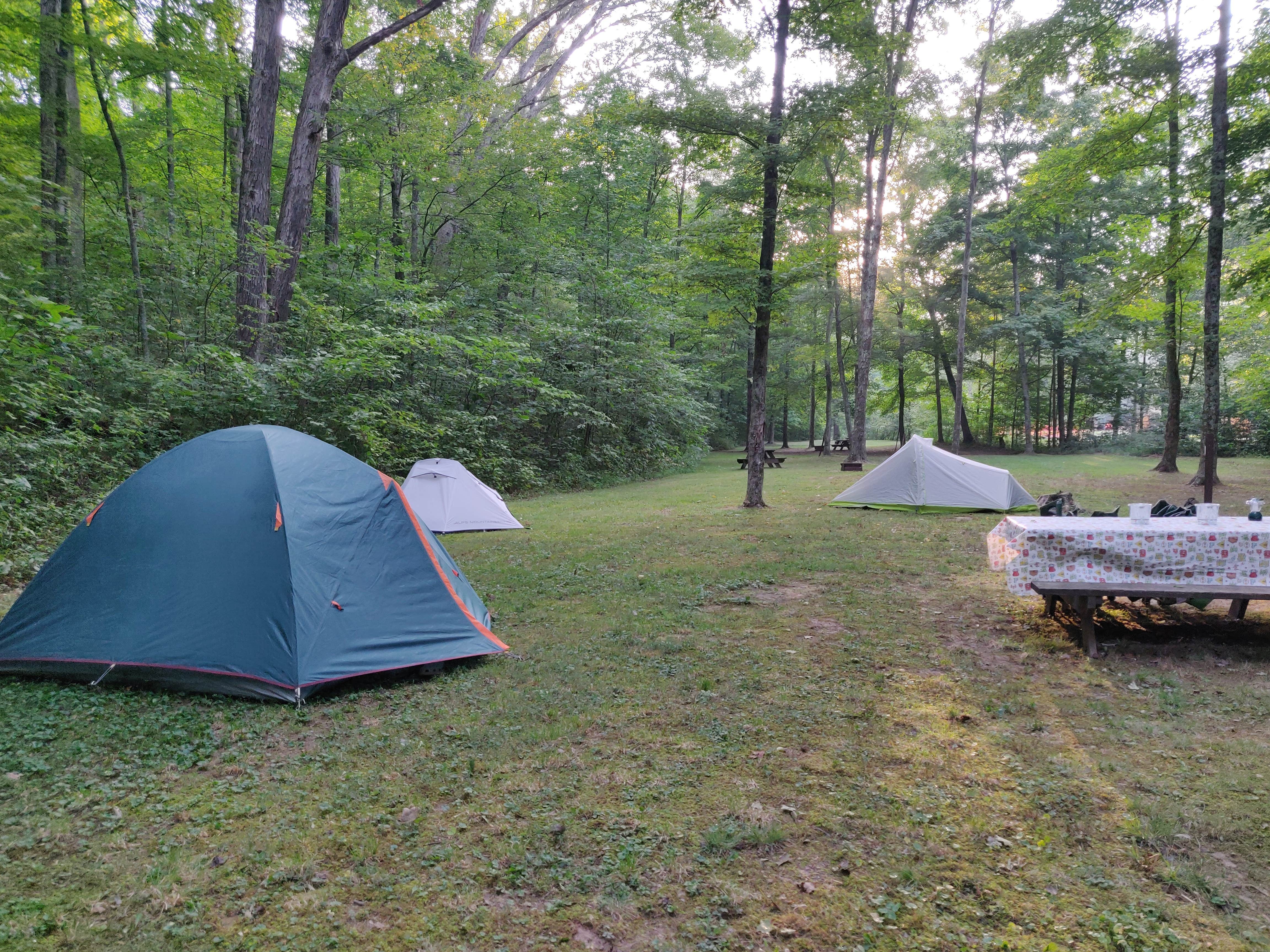 Camper submitted image from Scioto Trail State Park Campground - 2