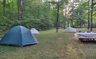 Cassandra C.'s photo at Scioto Trail State Park Campground near Peebles, OH