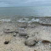 Review photo of Kelleys Island State Park Campground by Bradley B., August 24, 2020