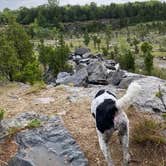 Review photo of Kelleys Island State Park Campground by Bradley B., August 24, 2020