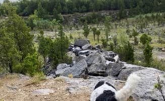 Bradley B.'s photo of camping with pets at Kelleys Island State Park Campground near Vermilion, OH
