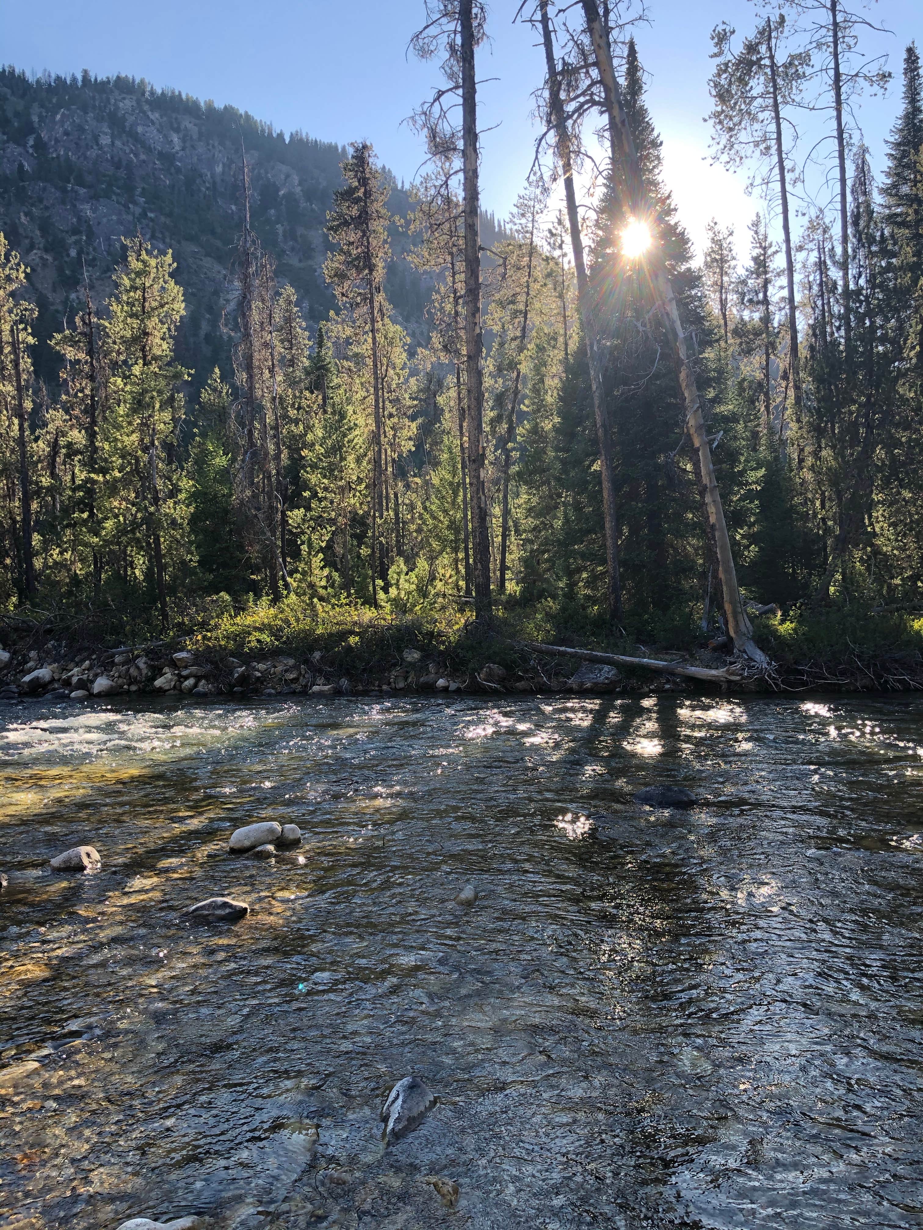 Camper submitted image from Grandjean Campground — Sawtooth National Forest - 3