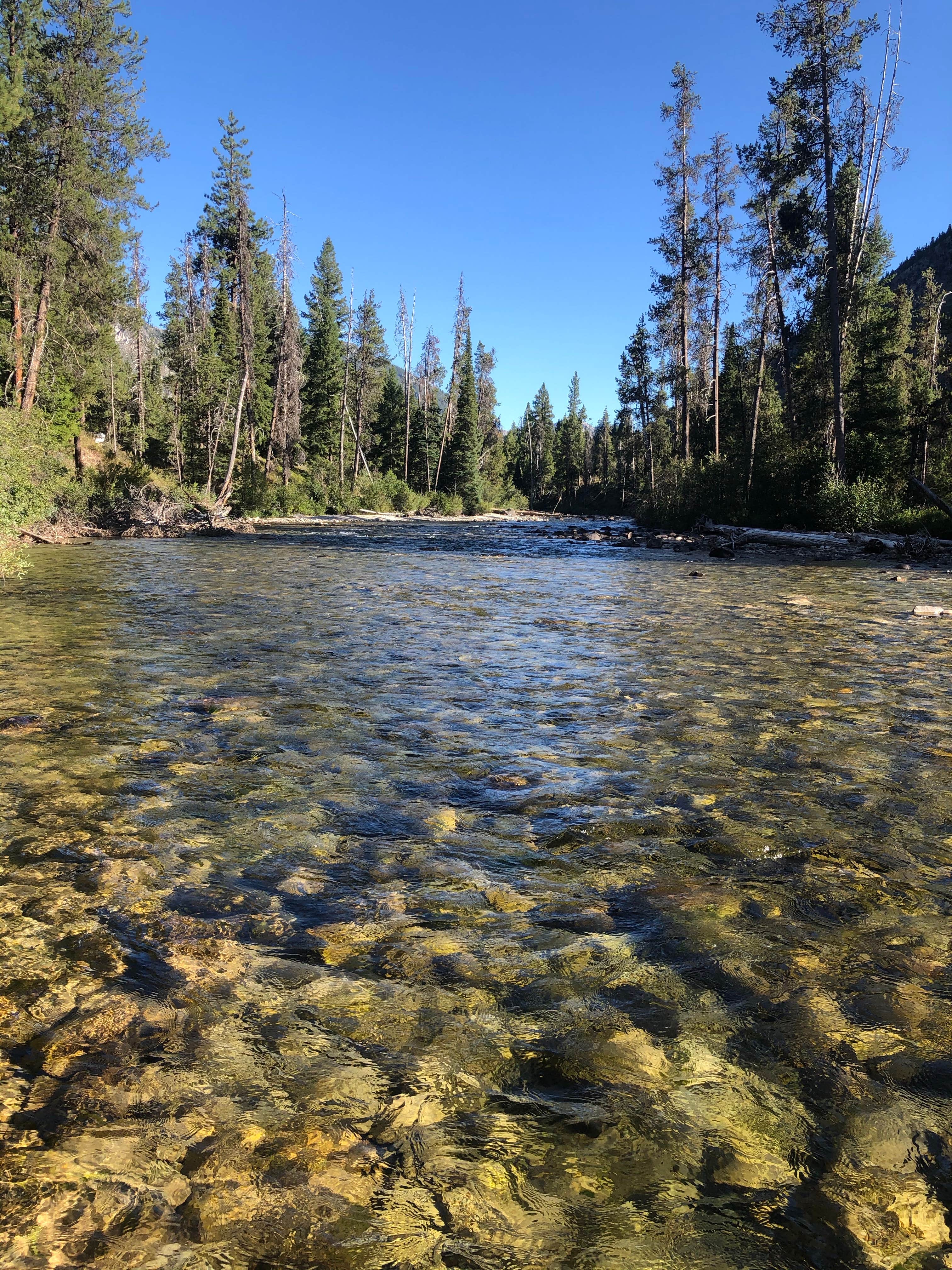 Camper submitted image from Grandjean Campground — Sawtooth National Forest - 2