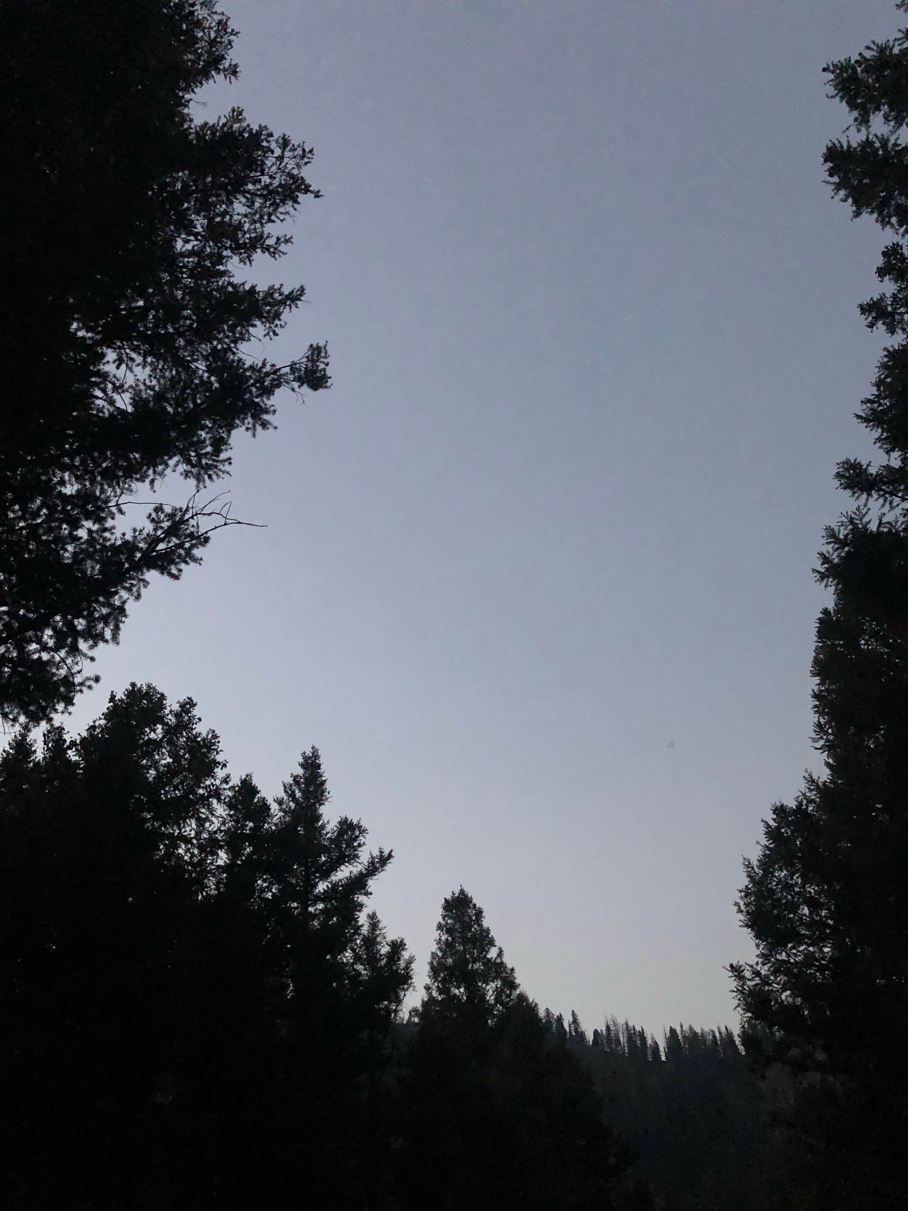 Camper-submitted photo at Blind Creek Campground near Salmon-Challis National Forest