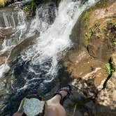 Review photo of Alsea Falls Recreation Site (campground) by Aryn S., August 24, 2020