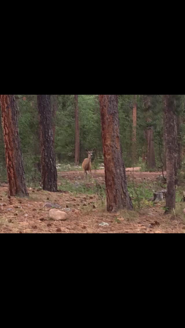 Camper-submitted photo at Uinta Canyon near Neola, UT