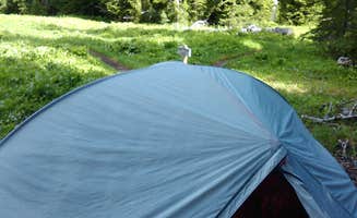 Danielle S.'s photo at Sol Duc Hot Springs Resort Campground — Olympic National Park near Olympic National Park