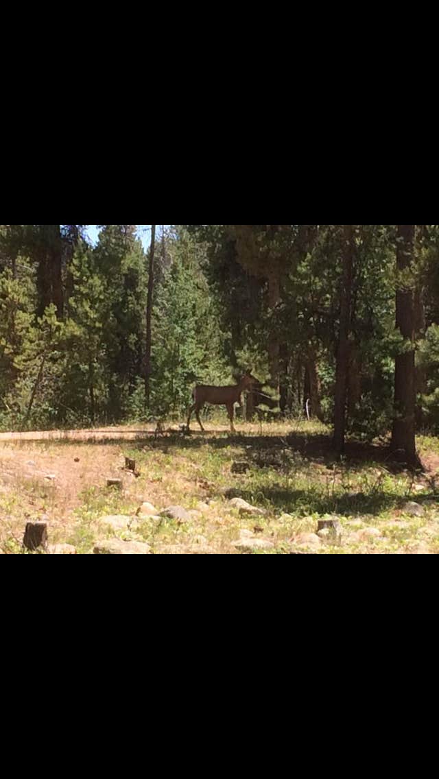 Camper-submitted photo at Uinta Canyon near Neola, UT