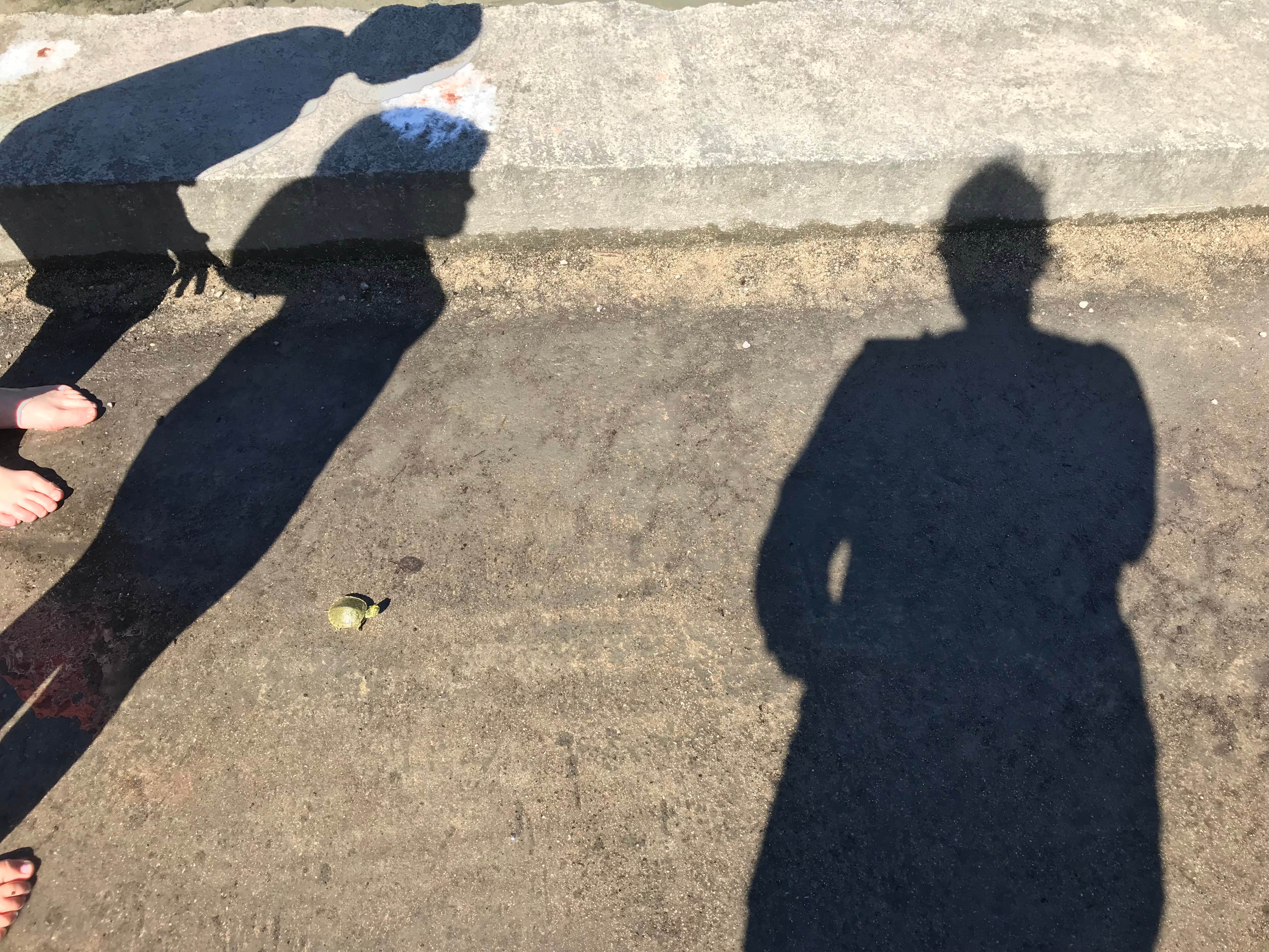 Camper-submitted photo at Blanco State Park Campground near Fischer, TX