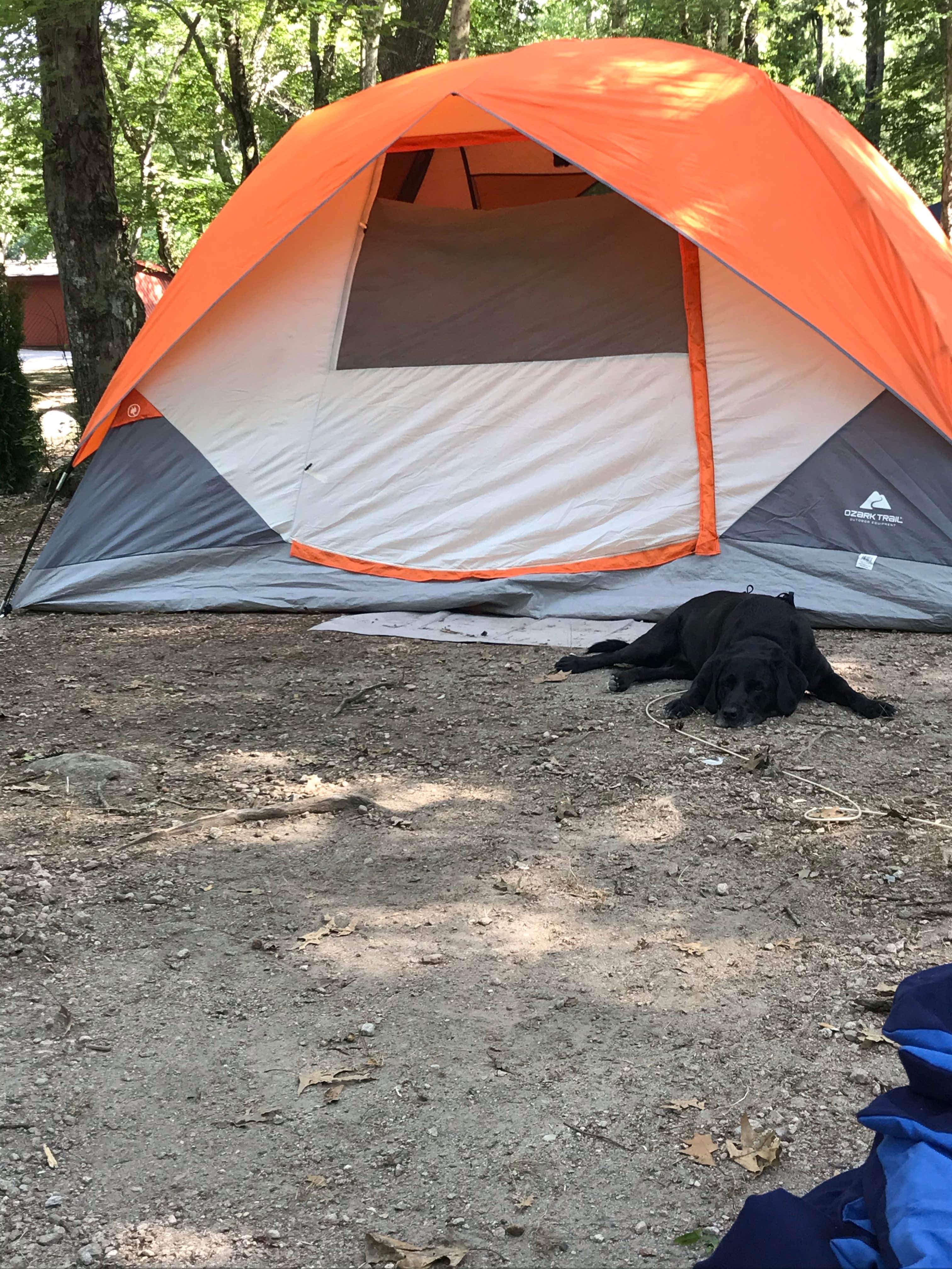 Samantha C.'s photo at Burlingame State Park Campground near Bradford, RI