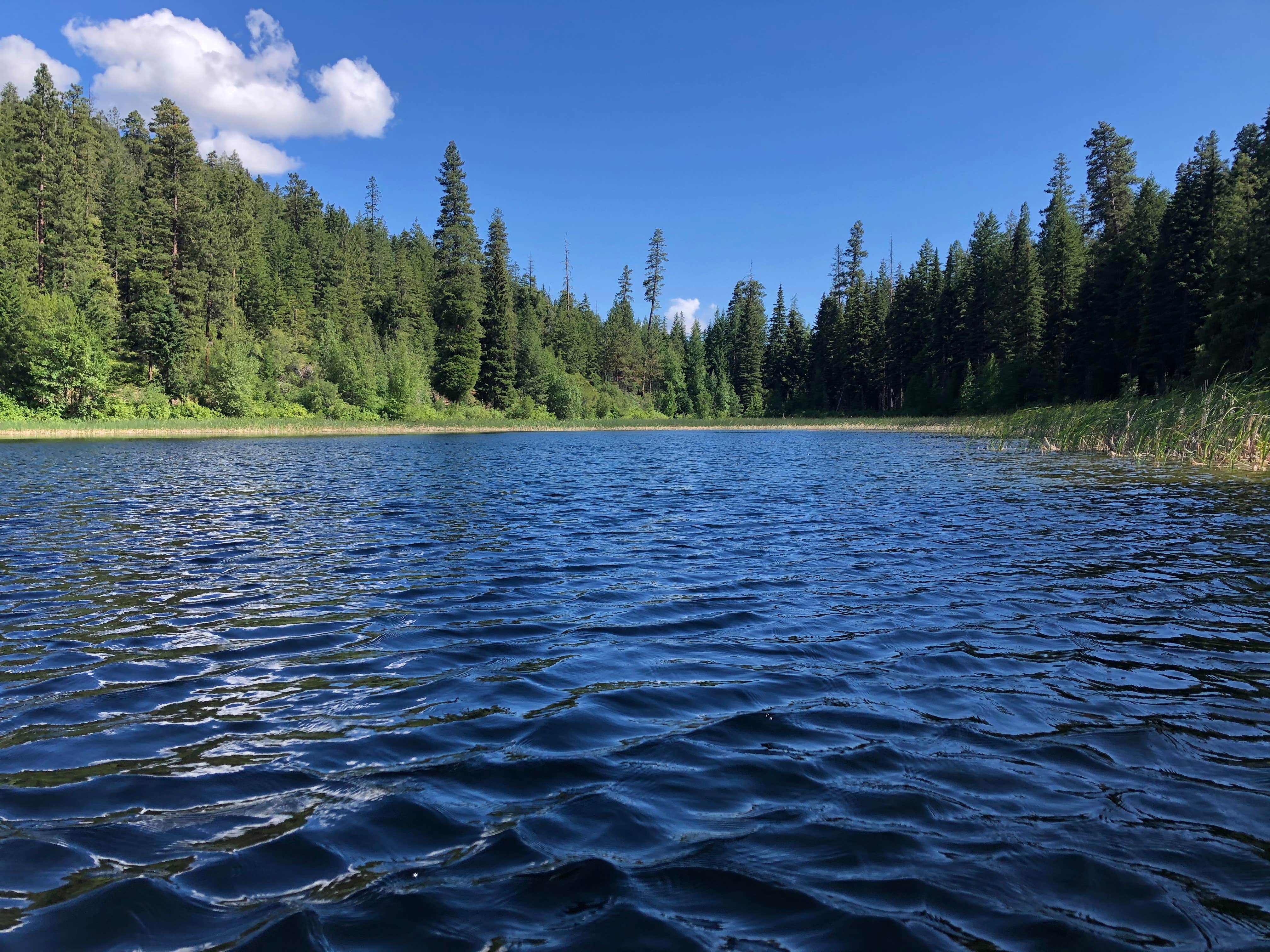Camping near Pearrygin Lake State Park Campground: Buck Lake Campground, Mazama, Washington