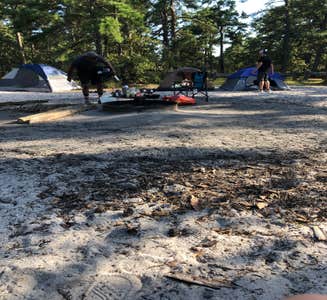 Camper-submitted photo from Bodine Field — Wharton State Forest
