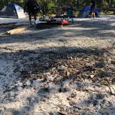 Review photo of Wharton State Forest Bodine Field Campground by Christian , August 24, 2020