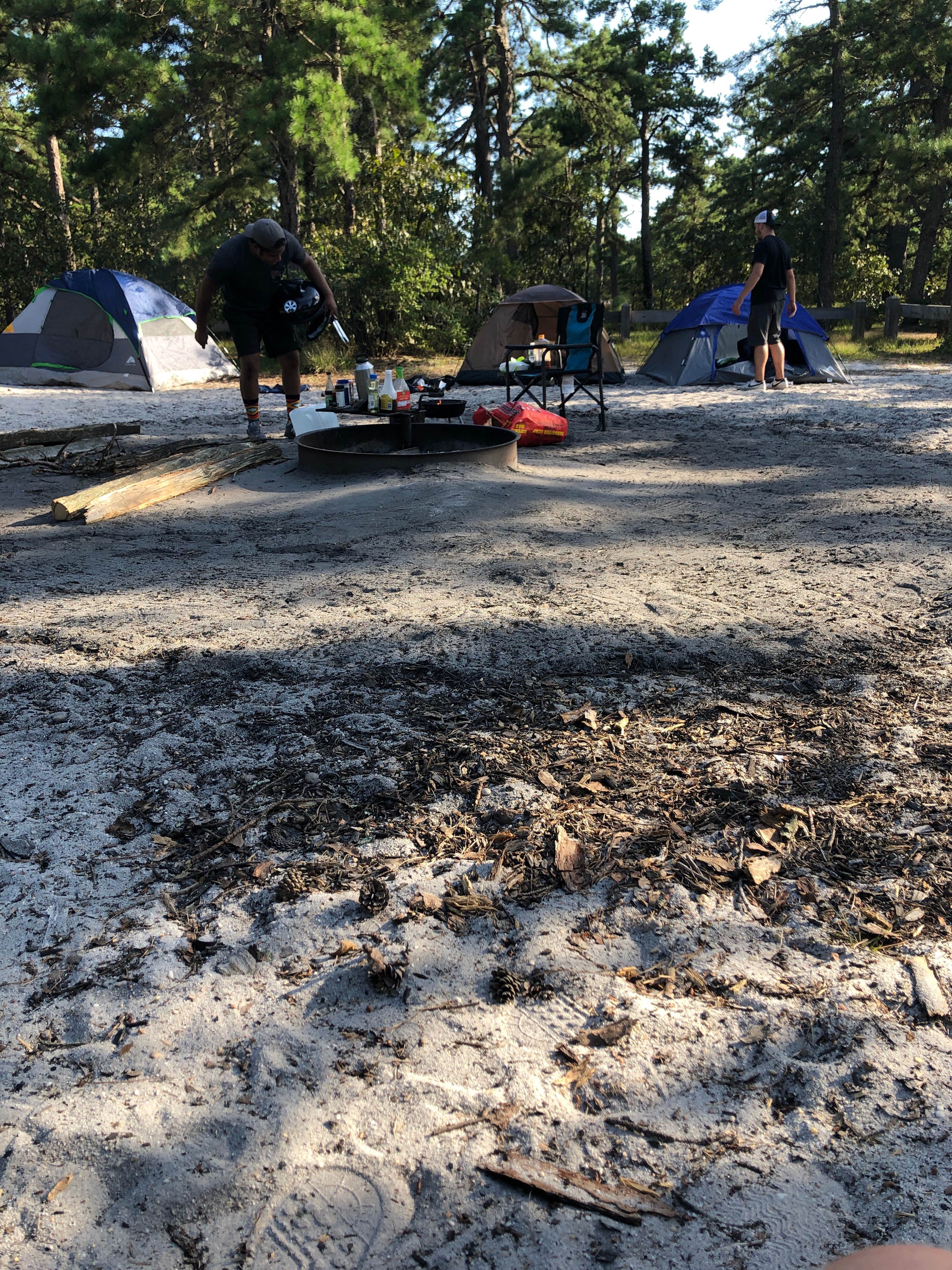 Camper submitted image from Bodine Field — Wharton State Forest - 2