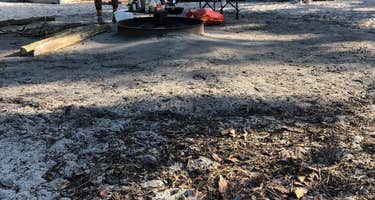 Wharton State Forest Bodine Field Campground