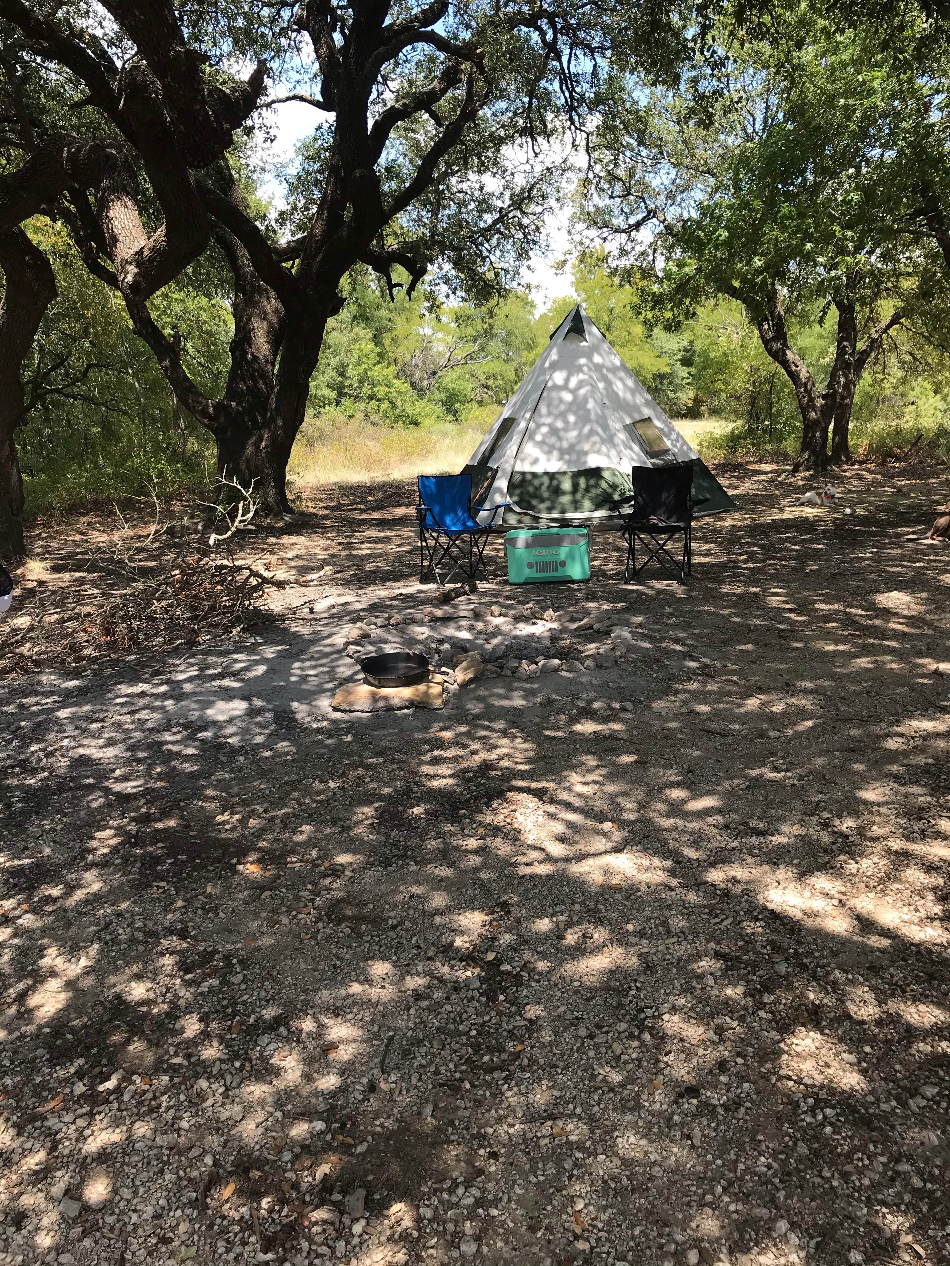 Camper submitted image from LBJ Lyndon B Johnson National Grasslands - 2