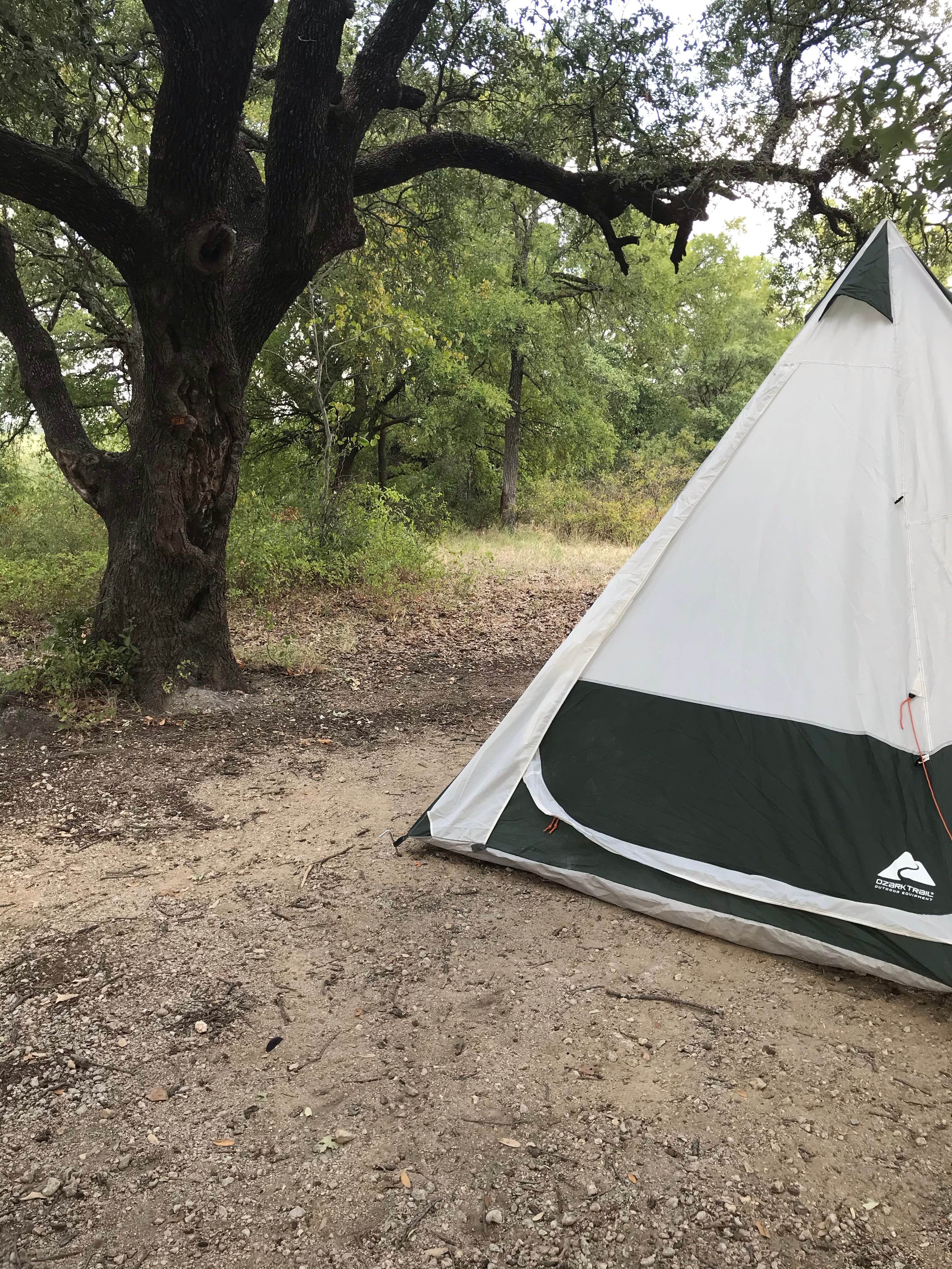 Mesha P.'s photo at LBJ Lyndon B Johnson National Grasslands near Sanger, TX