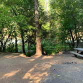 Review photo of Island Campground by Kathleen D., August 24, 2020