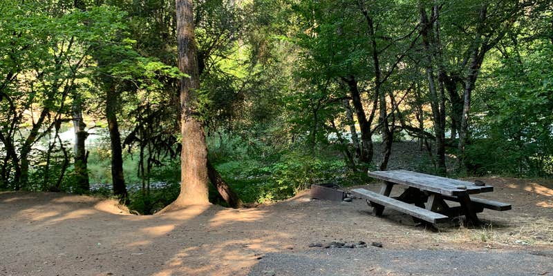 Camper submitted image from Island Campground