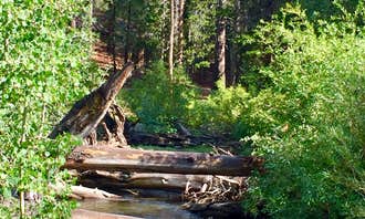 Camping near Trumbull Lake: Green Creek, Mono City, California
