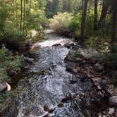 Review photo of Green Creek by Amy and Alan R., August 24, 2020