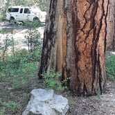 Review photo of Indian Trees Campground by TRINA B., August 24, 2020