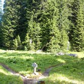 Review photo of Sol Duc Hot Springs Resort Campground — Olympic National Park by Danielle S., July 6, 2016