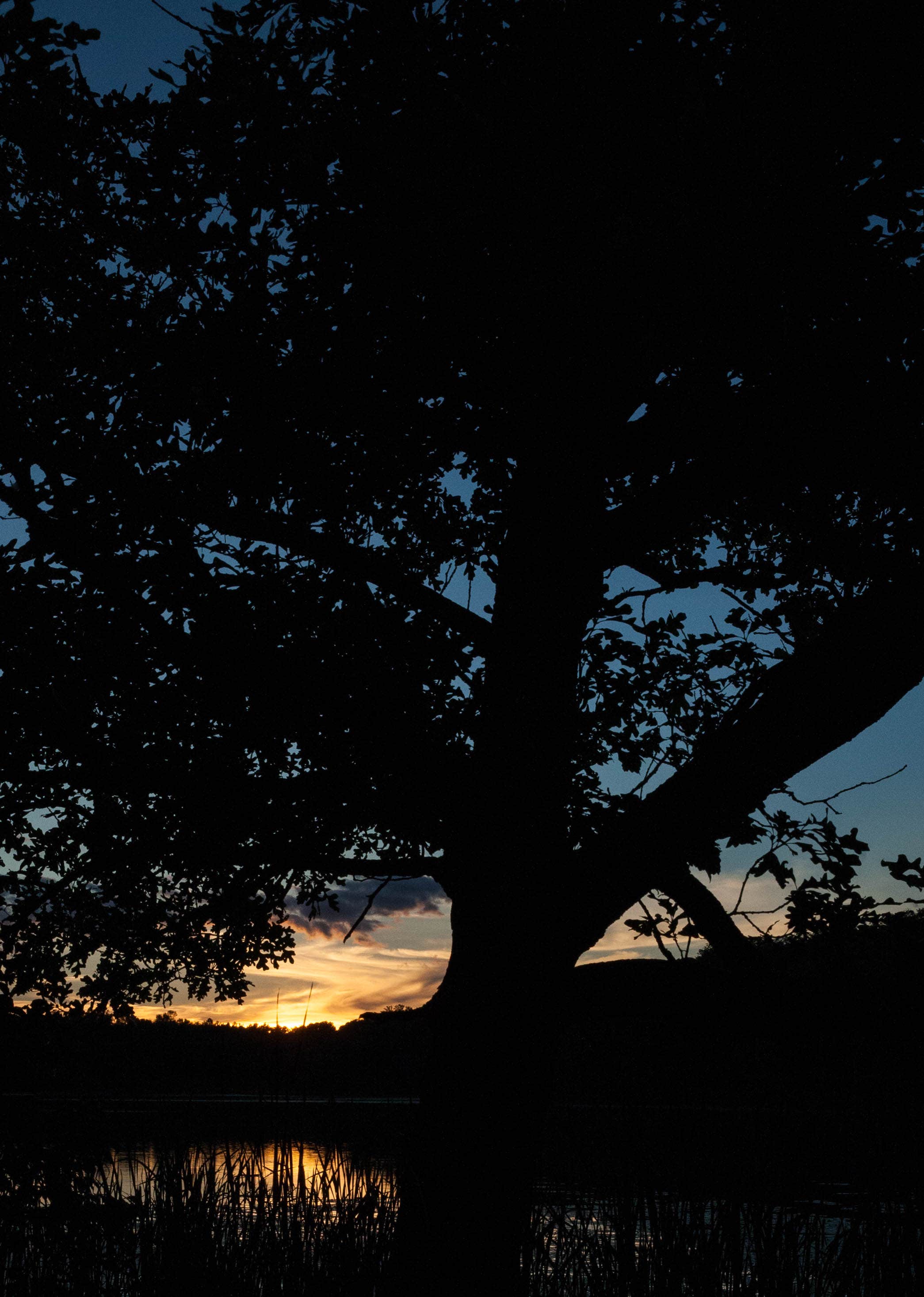 Camper-submitted photo at Grass Lake Campground — Maplewood State Park near Wahpeton, ND
