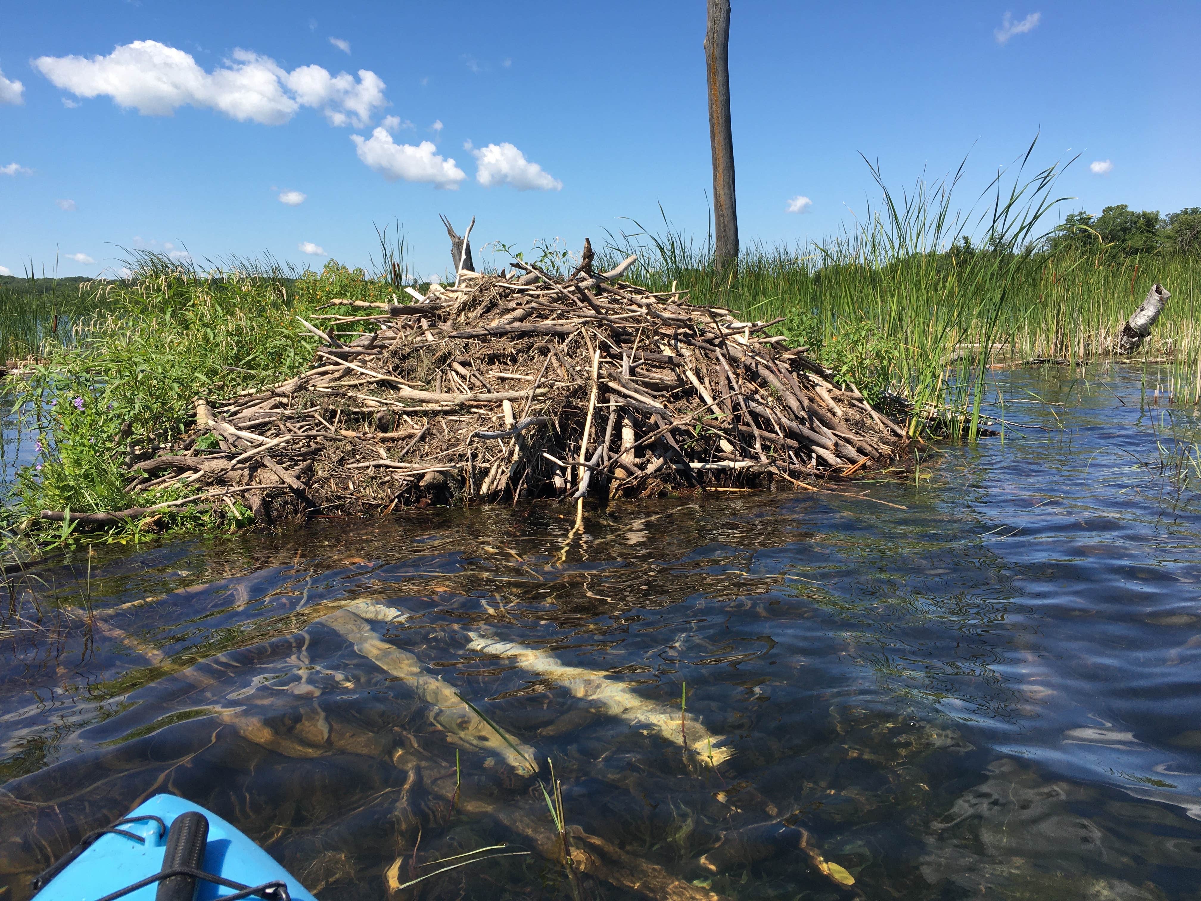 Grass Lake Campground — Maplewood State Park