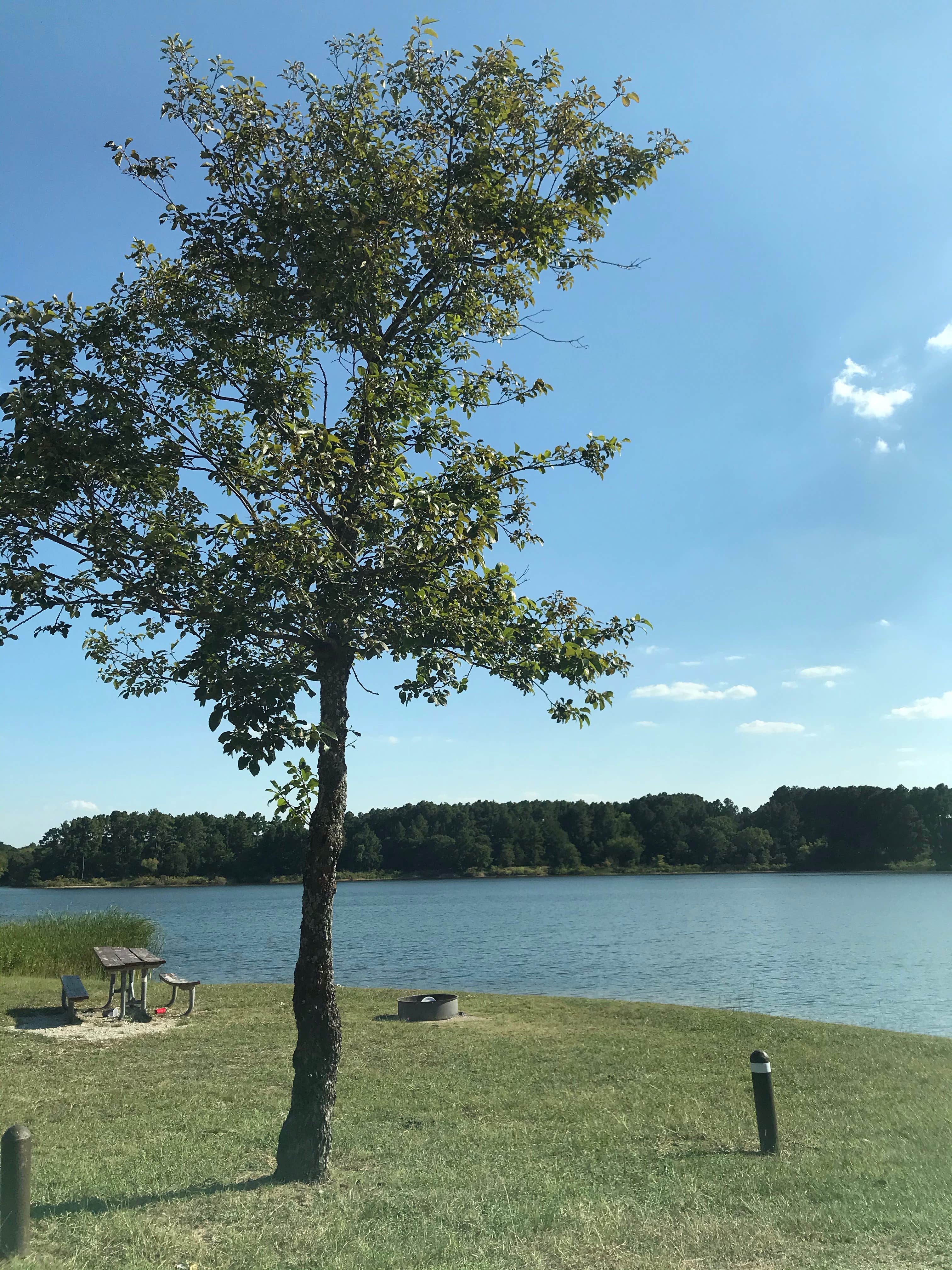 Camper-submitted photo at Black Creek Lake Recreation Area near Bridgeport, TX