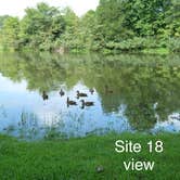 Review photo of COE Cordell Hull Lake Salt Lick Creek Campground by Susan & Kevin W., August 24, 2020