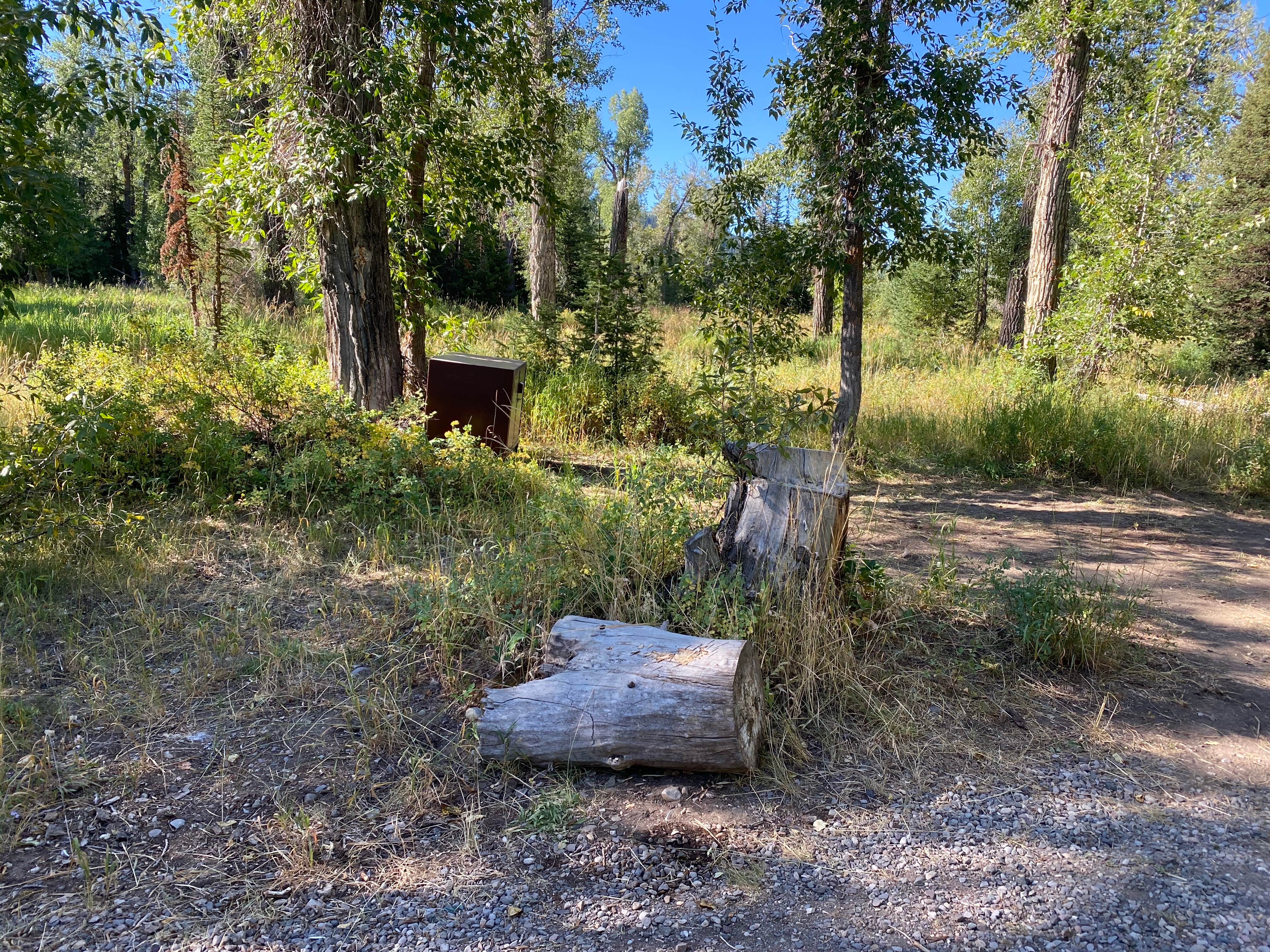 Camper submitted image from Pacific Creek Campground - 5