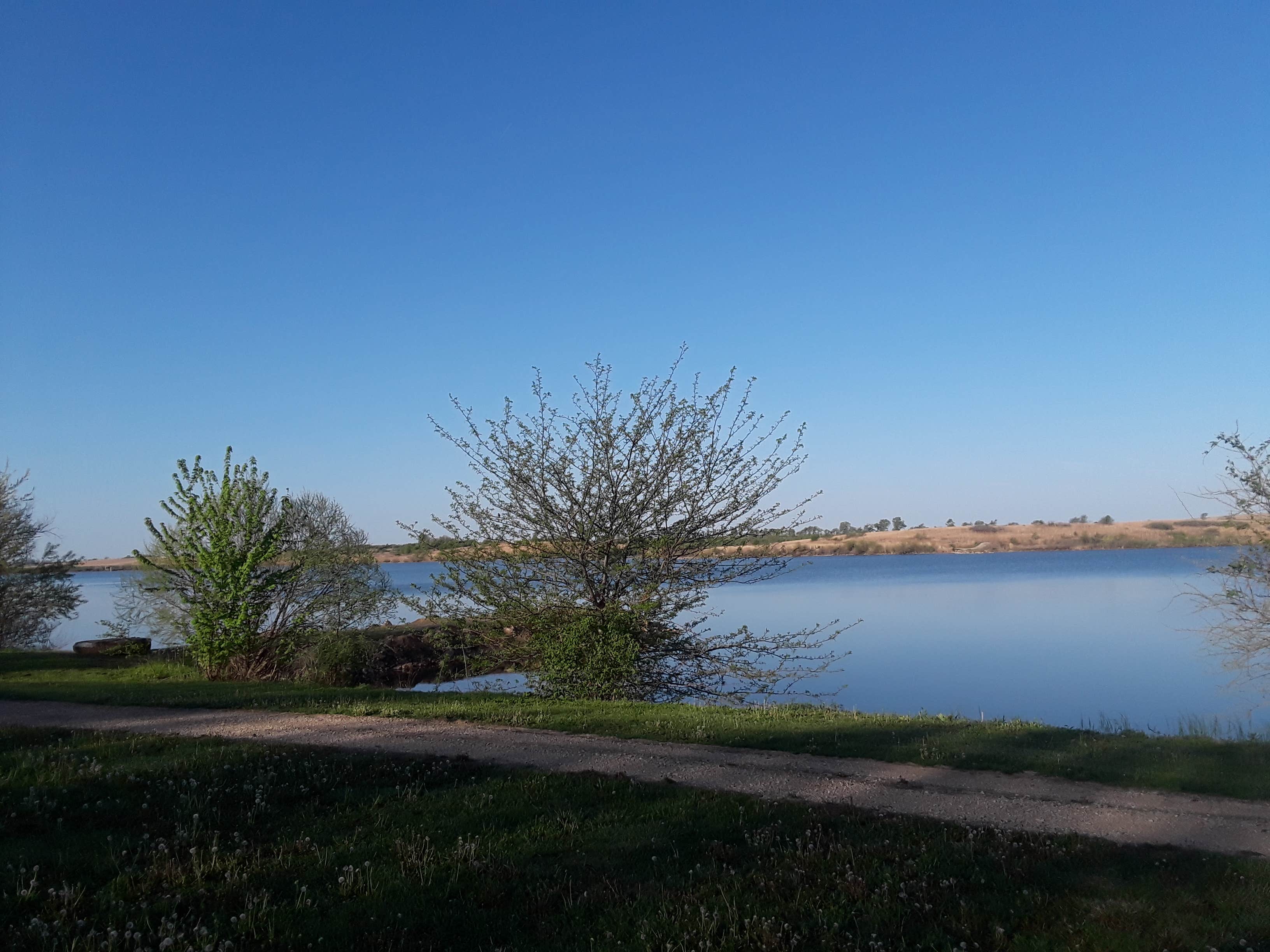 Camper submitted image from Shawnee State Fishing Lake - 2