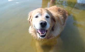 Susan & Kevin W.'s photo of camping with pets at COE Cordell Hull Lake Salt Lick Creek Campground near Granville, TN