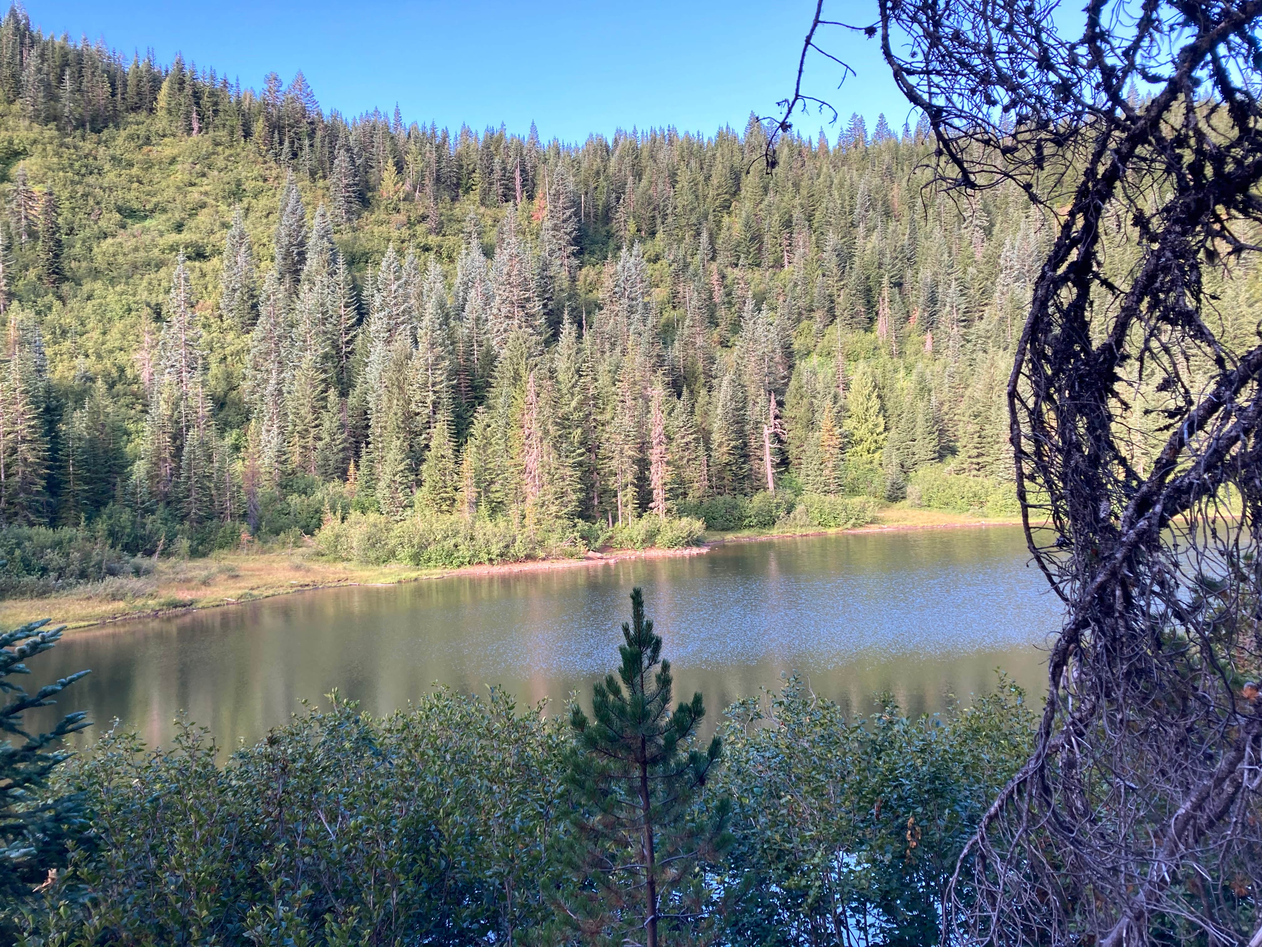 Camper-submitted photo at Cast Lake near Brightwood, OR