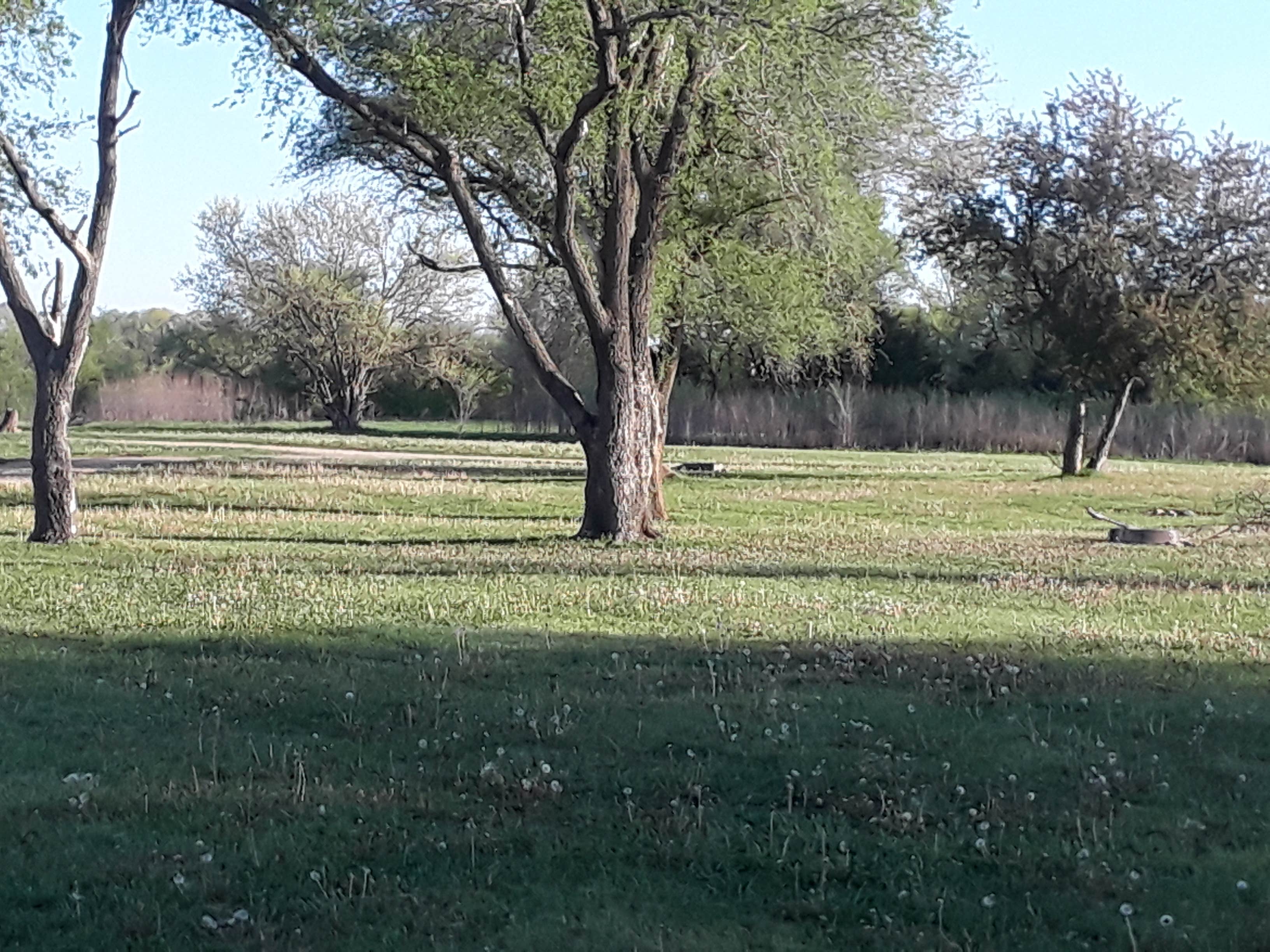 Camper-submitted photo at Shawnee State Fishing Lake near Perry, KS